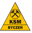 ksm logo4